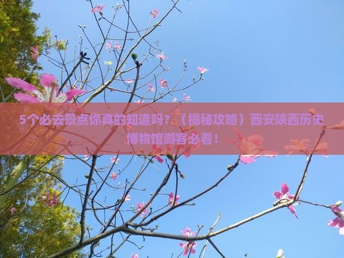 来宾去西安陕西历史博物馆必去地 来宾去西安陕西历史博物馆必去地