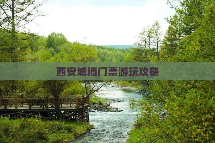 阜阳去西安城墙门票