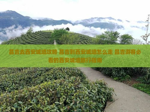 昌吉去西安城墙攻略