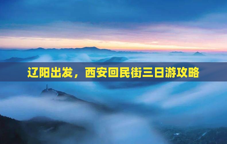 辽阳去西安回民街三日游