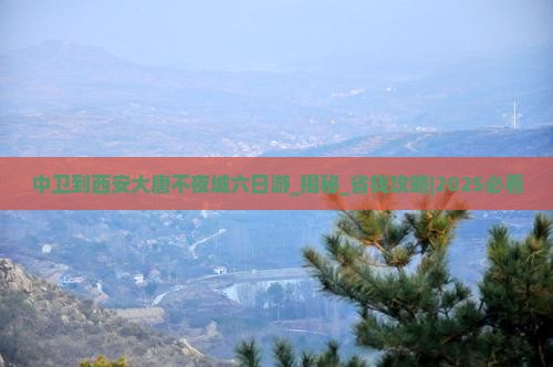 中卫到西安大唐不夜城六日游