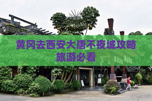 黄冈去西安大唐不夜城自由行
