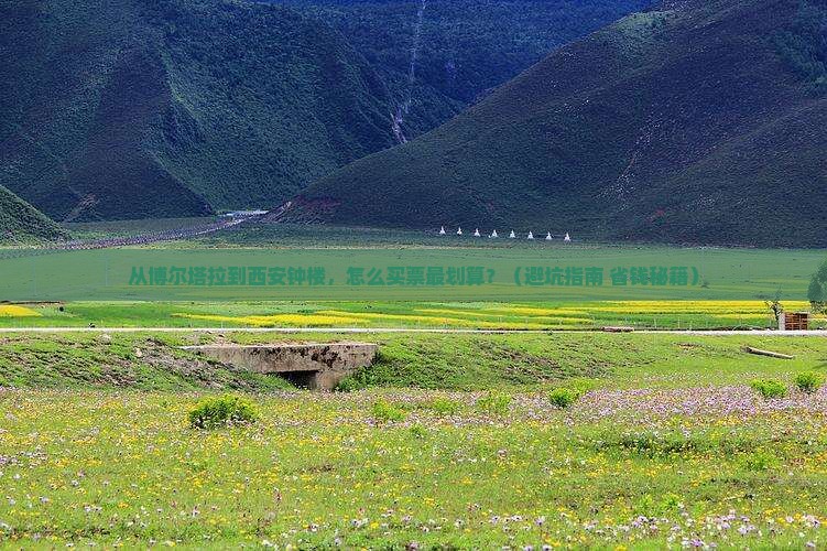 博尔塔拉去西安钟楼门票