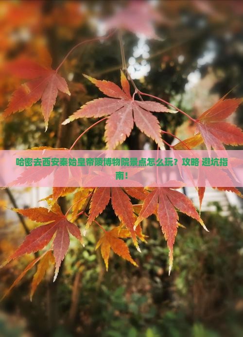 哈密去西安秦始皇帝陵博物院景点