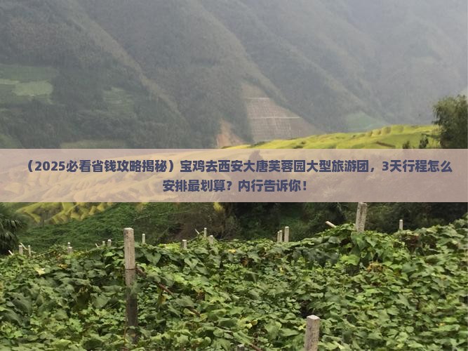 宝鸡去西安大唐芙蓉园大型旅游团