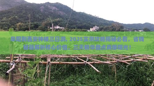 阜阳到西安钟楼三日游