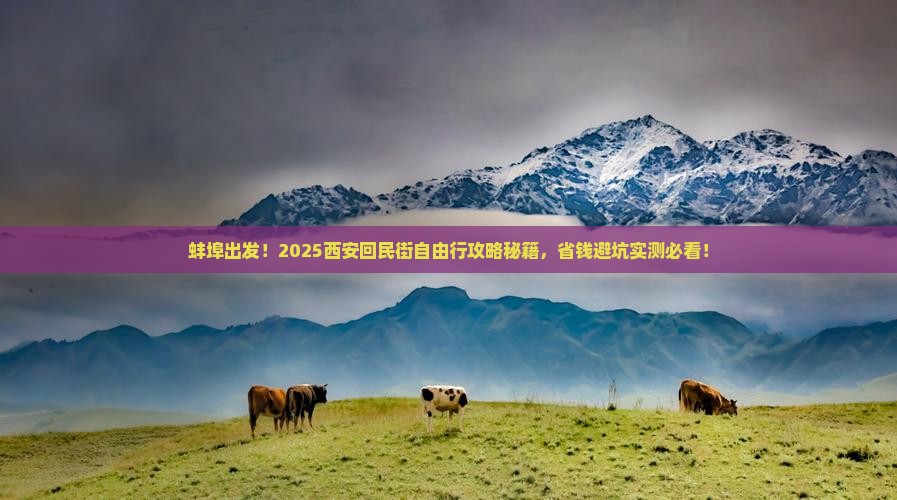 蚌埠到西安回民街自由团