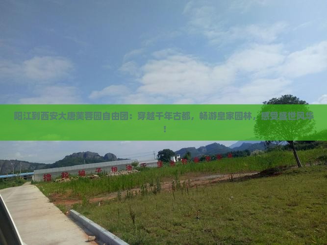 阳江到西安大唐芙蓉园自由团
