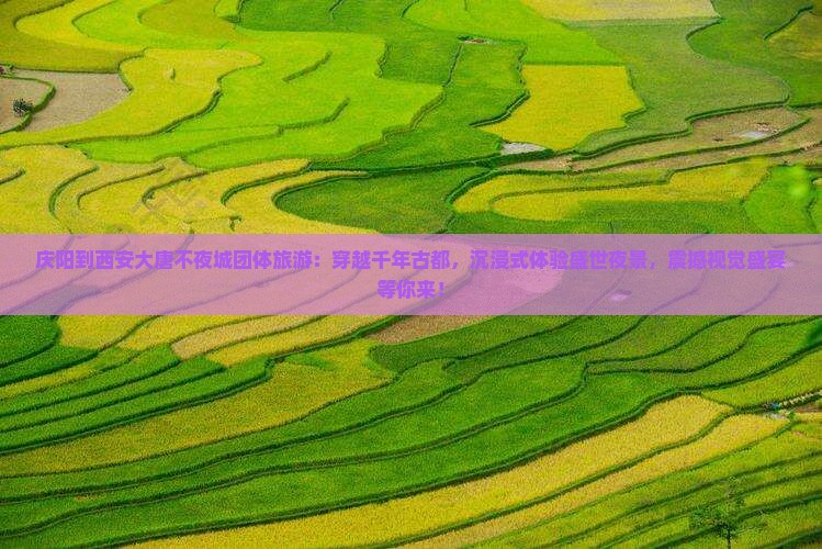 庆阳到西安大唐不夜城团体旅游
