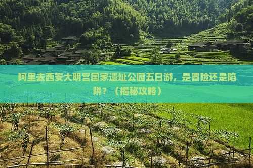 阿里去西安大明宫国家遗址公园五日游