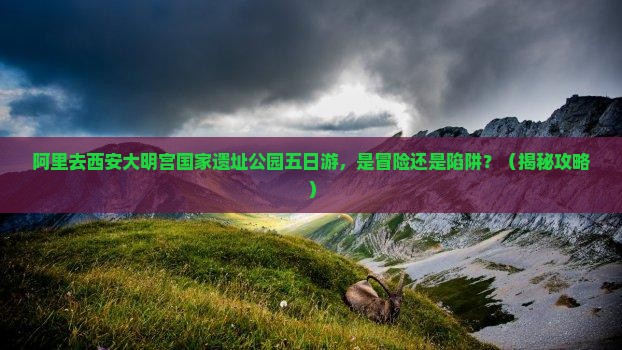阿里去西安大明宫国家遗址公园五日游