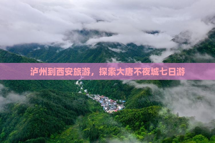 泸州到西安大唐不夜城七日游