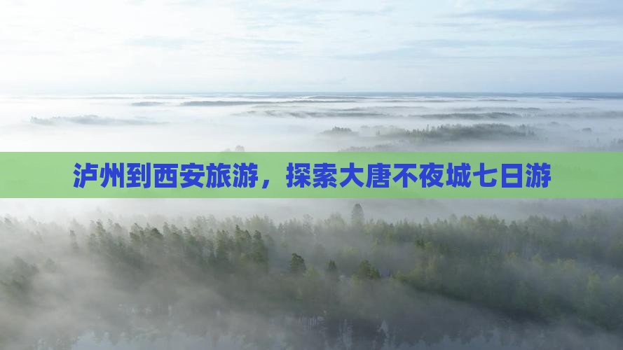 泸州到西安大唐不夜城七日游