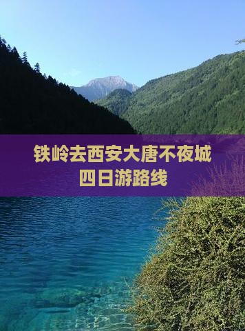 铁岭去西安大唐不夜城四日游