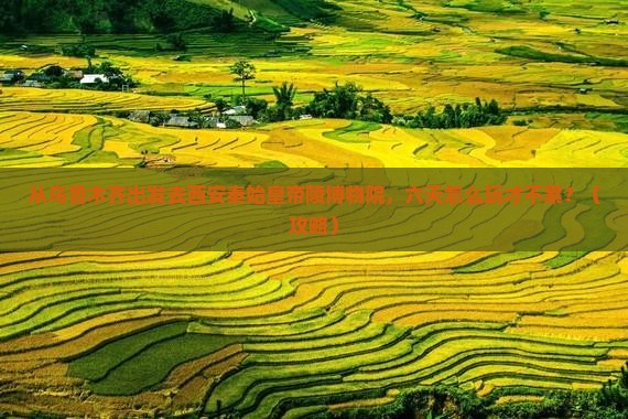 乌鲁木齐去西安秦始皇帝陵博物院六日游