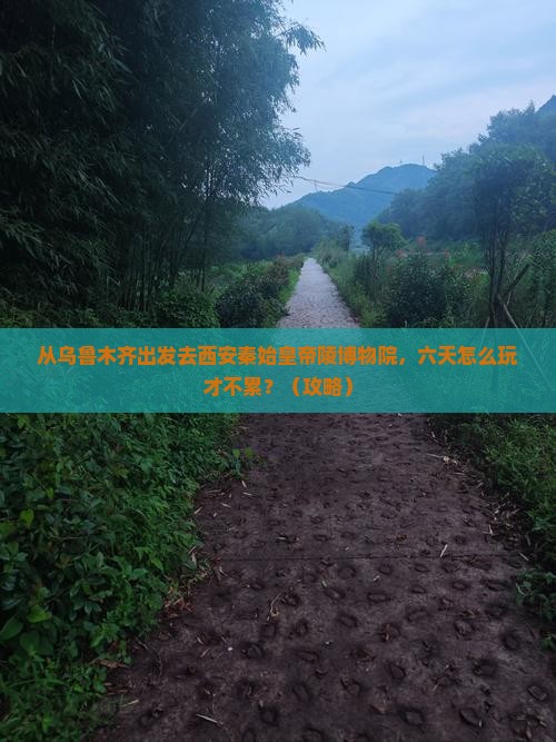 乌鲁木齐去西安秦始皇帝陵博物院六日游