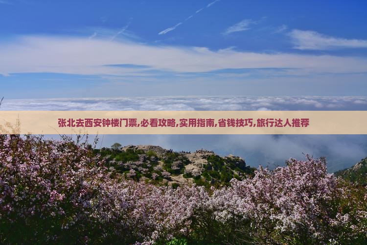 张北去西安钟楼门票