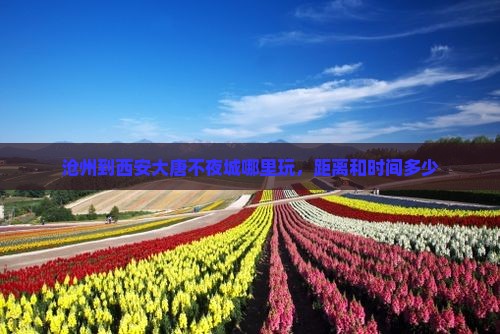 沧州到西安大唐不夜城哪里玩