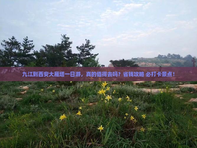 九江到西安大雁塔一日游