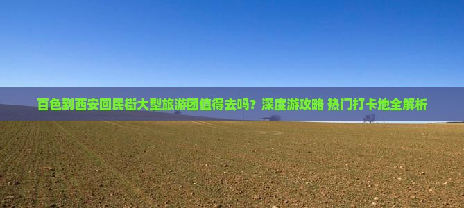 百色到西安回民街大型旅游团
