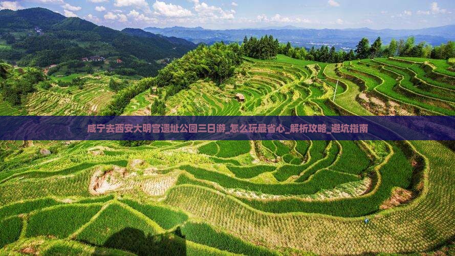 咸宁去西安大明宫国家遗址公园三日游