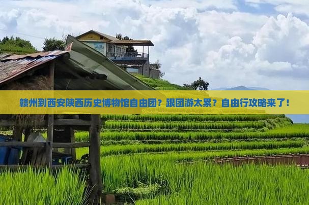 赣州到西安陕西历史博物馆自由团