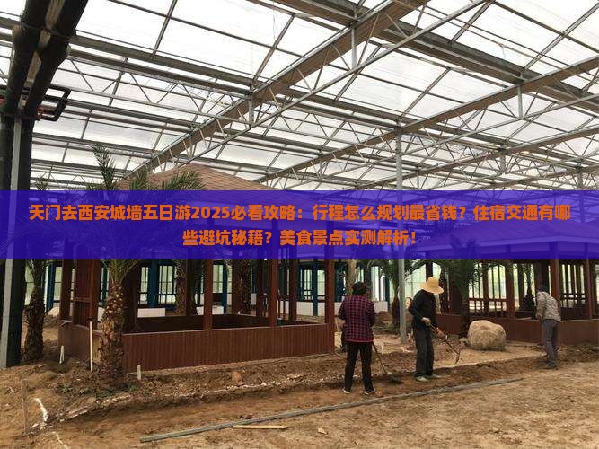 天门去西安城墙五日游