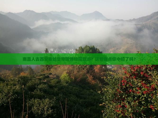 南昌去西安秦始皇帝陵博物院旅游