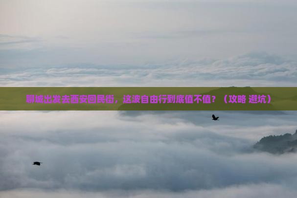 聊城到西安回民街自由行