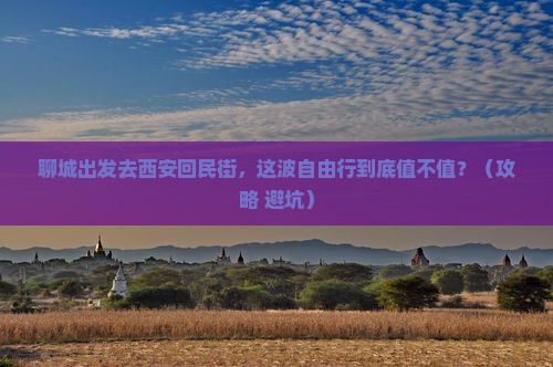 聊城到西安回民街自由行