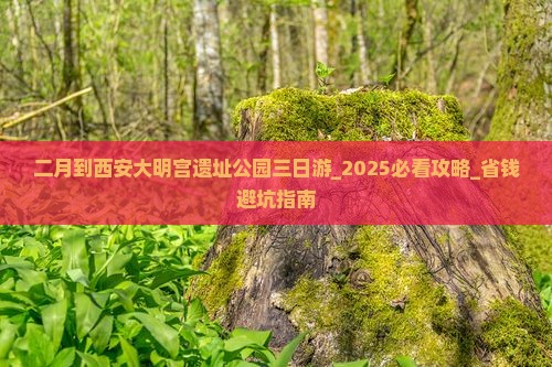 二月到西安大明宫国家遗址公园三日游