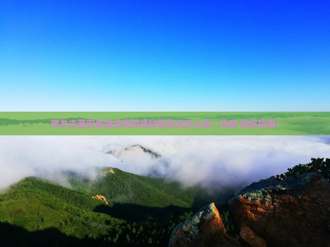 萍乡去西安秦始皇帝陵博物院景点
