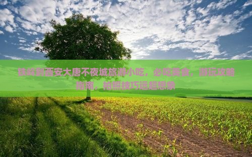 铁岭到西安大唐不夜城旅游小吃