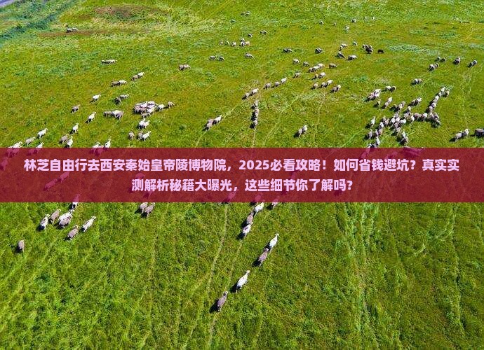 林芝去西安秦始皇帝陵博物院自由团 林芝去西安秦始皇帝陵博物院自由团