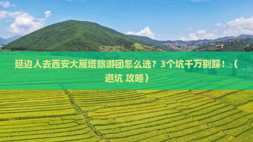 延边去西安大雁塔大型旅游团