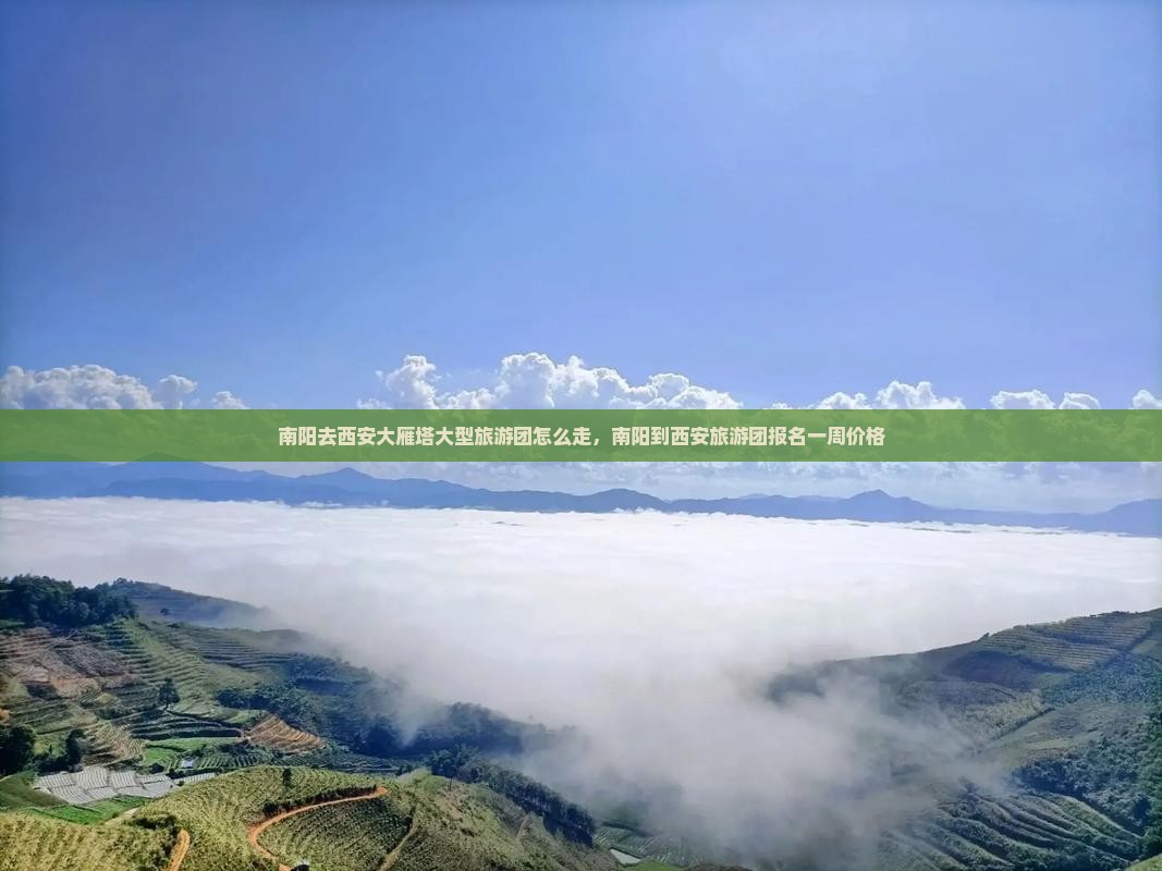 南阳去西安大雁塔大型旅游团