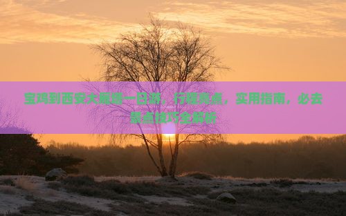 宝鸡到西安大雁塔一日游
