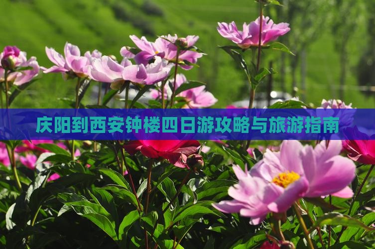 庆阳到西安钟楼四日游