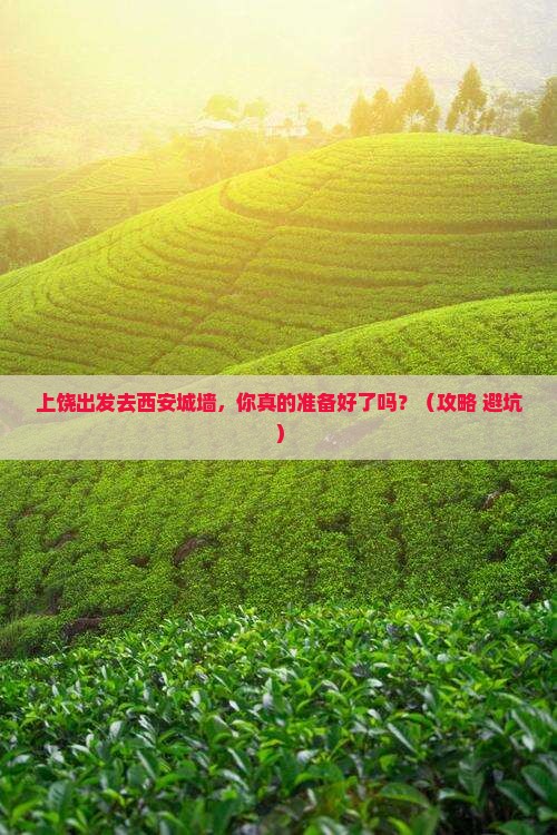 上饶到西安城墙个人游