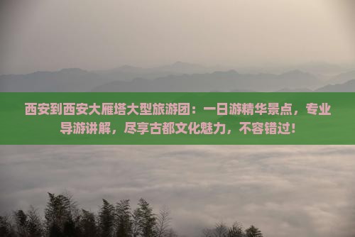 西安到西安大雁塔大型旅游团