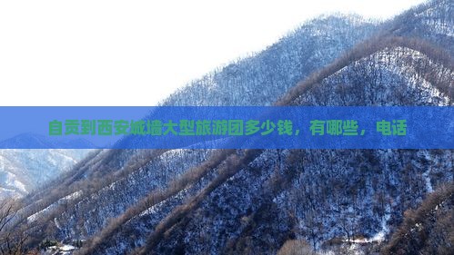 自贡到西安城墙大型旅游团