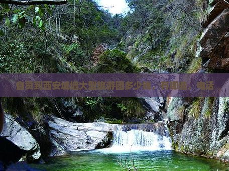 自贡到西安城墙大型旅游团