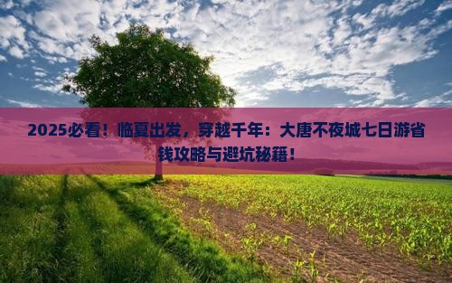 临夏到西安大唐不夜城七日游