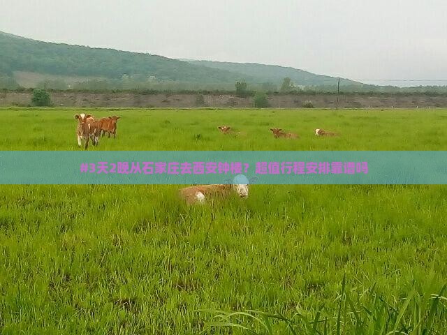 #3天2晚从石家庄去西安钟楼？超值行程安排靠谱吗
