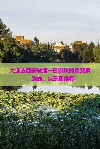 大连去西安城墙一日游攻略及费用、路线、纯玩团推荐