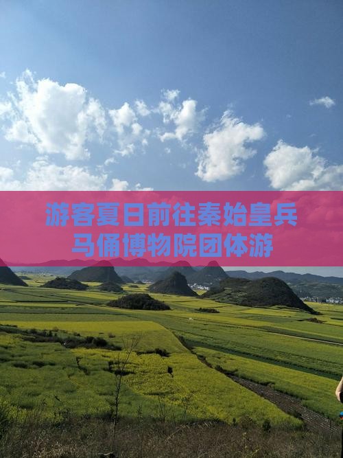 游客夏日前往秦始皇兵马俑博物院团体游