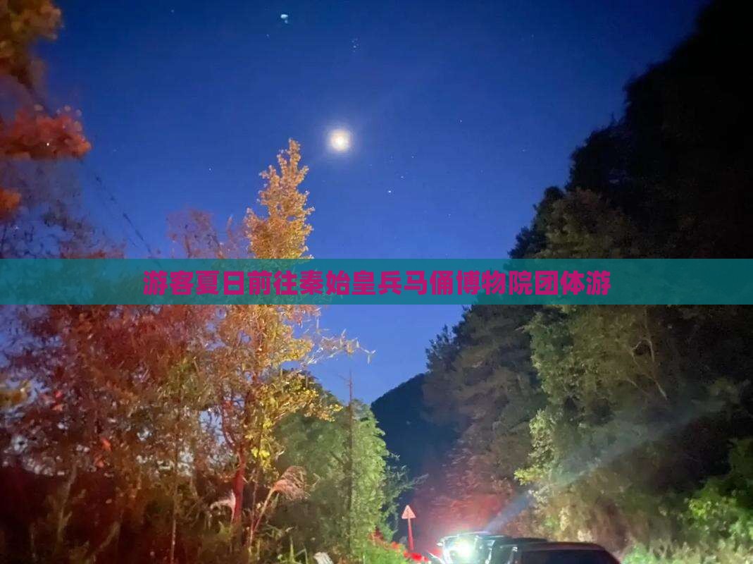游客夏日前往秦始皇兵马俑博物院团体游