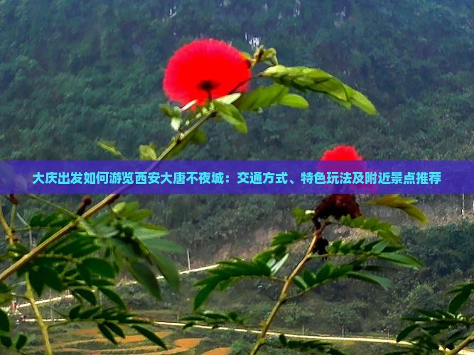 大庆出发如何游览西安大唐不夜城：交通方式、特色玩法及附近景点推荐