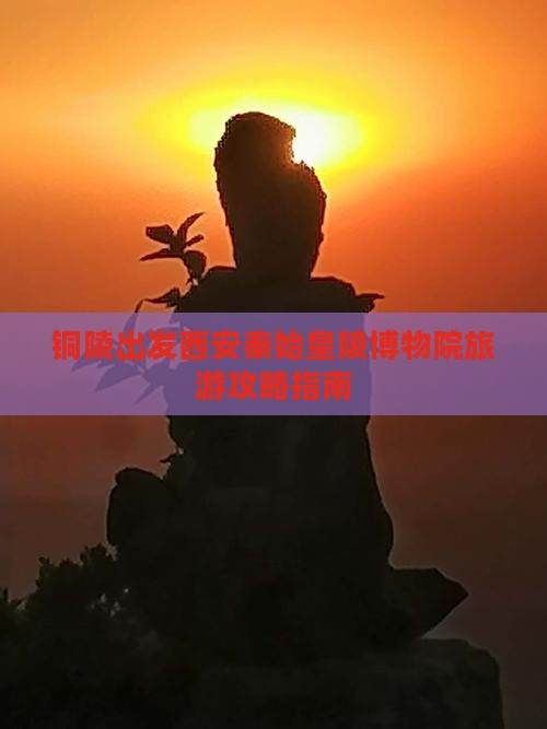 铜陵出发西安秦始皇陵博物院旅游攻略指南