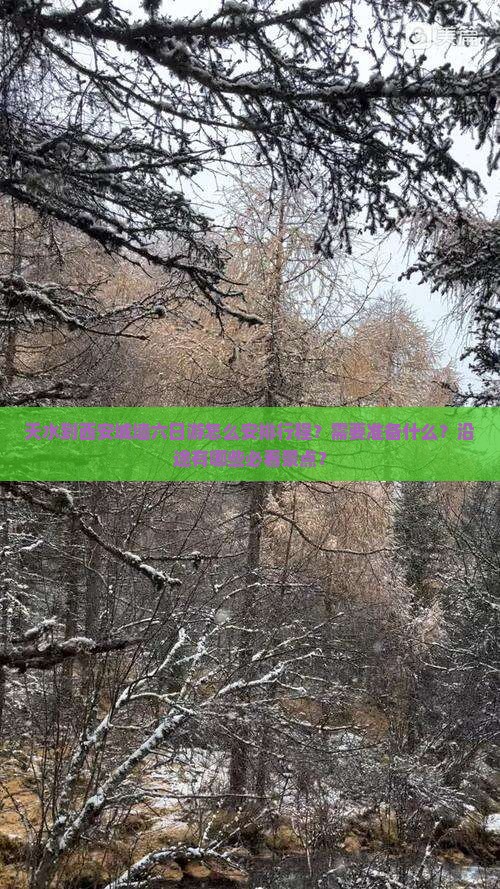 天水到西安城墙六日游怎么安排行程？需要准备什么？沿途有哪些必看景点？